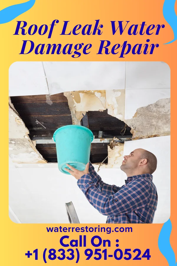 Roof Leak Water Damage Repair in Bingham Lake, MN