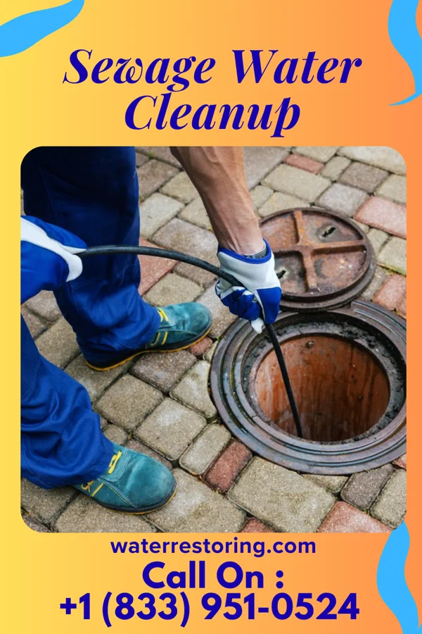 Sewage Water Cleanup in Bingham Lake, MN