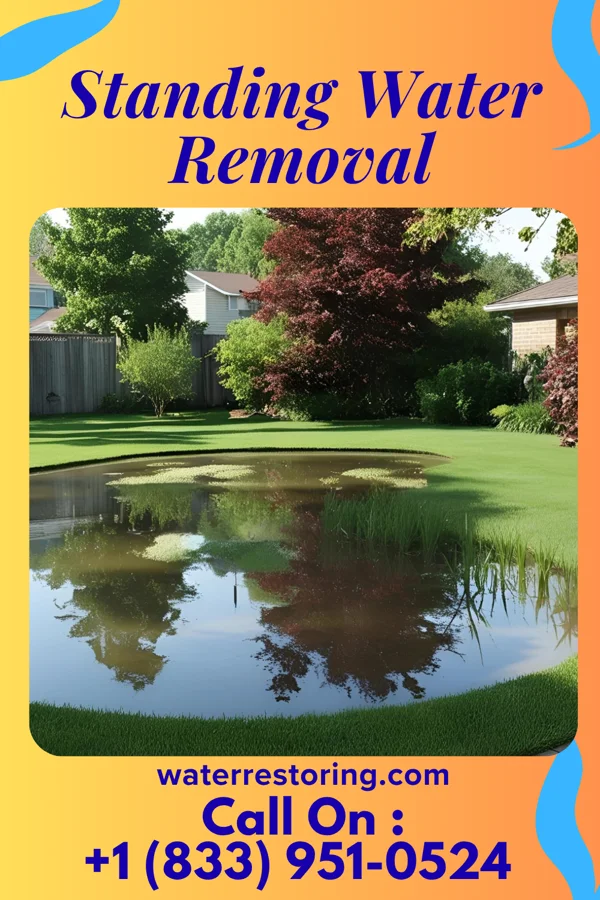 Standing Water Removal in Bingham Lake, MN
